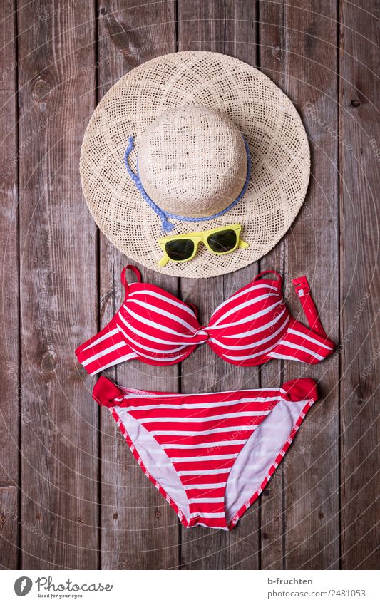 summer vacation Wellness Life Swimming & Bathing Summer Summer vacation Sunbathing Bikini Sunglasses Hat Relaxation Freedom Leisure and hobbies Joy