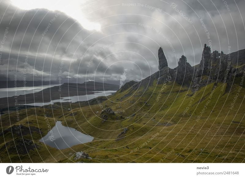 Old Man of Storr in Scotland Landscape Bad weather Storm Gale Grass Rock Mountain Coast Fjord Gray Green Storm warning Great Britain Cloud cover Clouds Dark