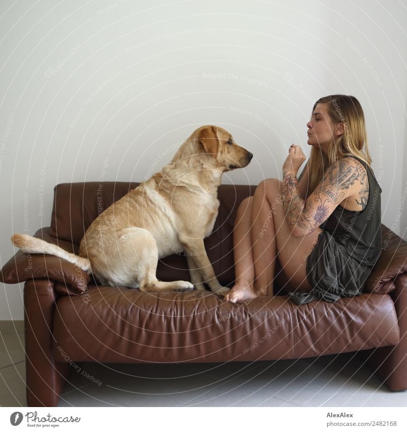 Blond Labrador with big woman on the couch Joy Beautiful Harmonious Flat (apartment) Room Sofa Young woman Youth (Young adults) 18 - 30 years Adults Dress