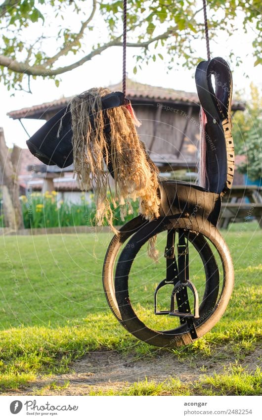 Horse shaped swing, made with tires and ropes. Playing Rope Infancy Nature Playground To enjoy Happiness Funny cord empty rubber string Sunset Tire Vertical