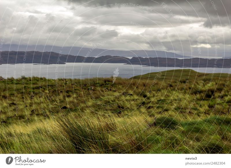 Isle of Sky in Scotland Landscape Horizon Autumn Climate Bad weather Storm Rain Grass Meadow Field Hill Rock Coast Ocean Island Green Great Britain Isle of Skye