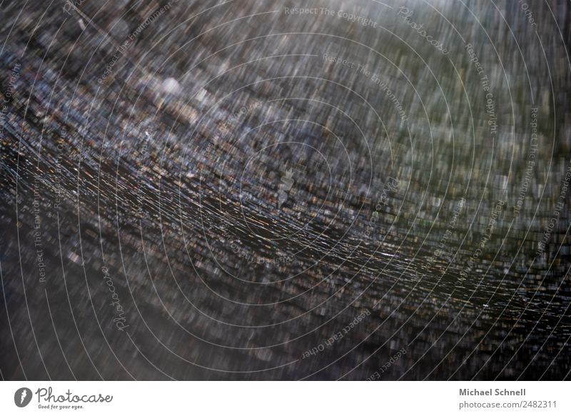 Spider's web and sunbeams Environment Nature Exceptional Dark Thin Creepy Sunbeam Colour photo Exterior shot Close-up Macro (Extreme close-up) Abstract Deserted