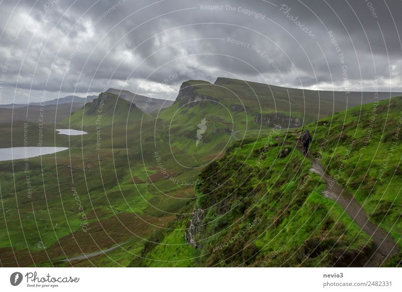 The Quiraing Nature Landscape Foliage plant Beautiful Green Famousness Tourist Attraction Itinerary Vacation & Travel Hiking hiking trail Lanes & trails