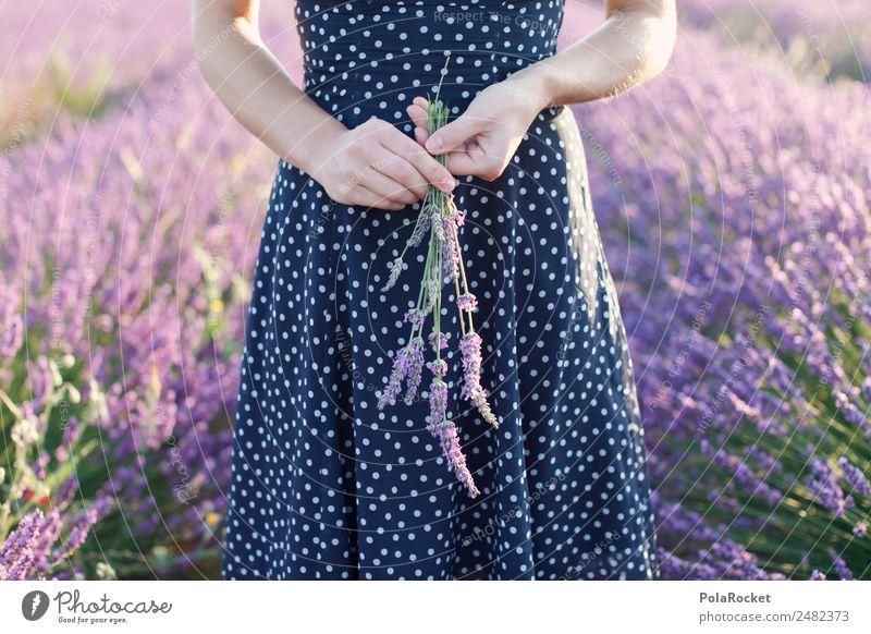 #A# Lavender girl Environment Nature Landscape Flower Garden Meadow Field Lavender field Lavande harvest Violet Girl Girlish Delicate Woman Woman's body Dress