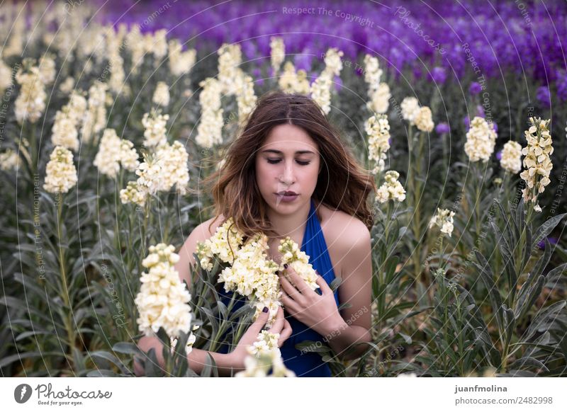 Woman posing in field of white flowers Lifestyle Happy Beautiful Freedom Summer Garden Human being Feminine Adults 18 - 30 years Youth (Young adults) Nature