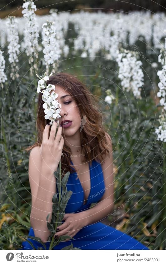 Woman posing in field of white flowers Lifestyle Happy Beautiful Freedom Summer Garden Human being Adults 18 - 30 years Youth (Young adults) Nature Flower