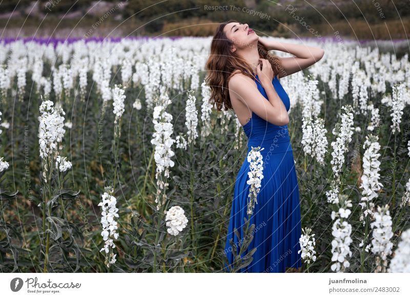 Woman posing in field of white flowers Lifestyle Happy Beautiful Freedom Summer Garden Human being Adults 18 - 30 years Youth (Young adults) Nature Flower Park