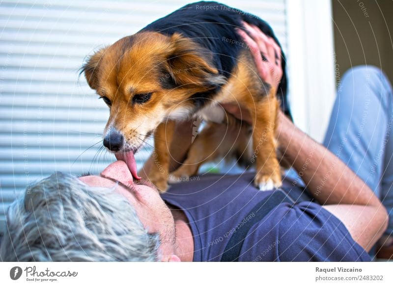 A dog licking its owner's face. Lifestyle Wellness Human being Masculine Man Adults Head 1 30 - 45 years Animal Pet Dog Kissing Lie Together Blue Yellow Joy