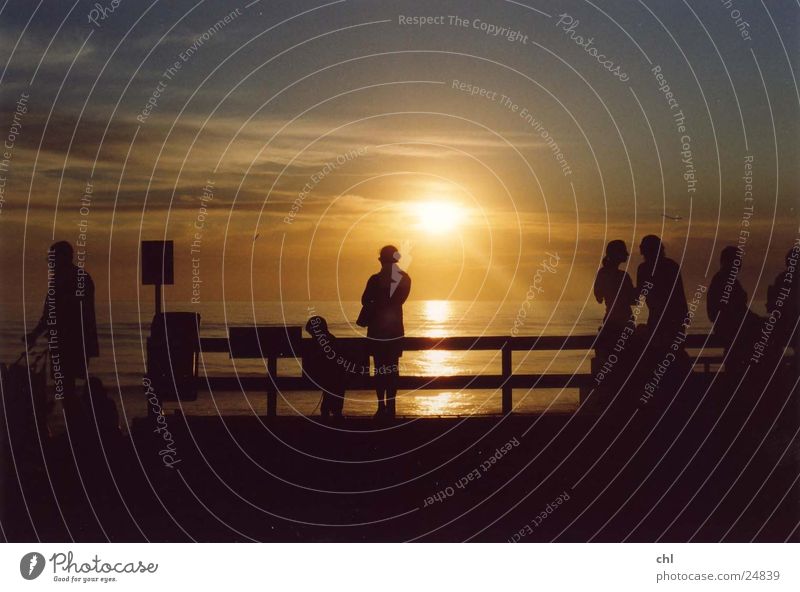 Silhouettes at sunset Sun Beach Ocean Human being Life Sunset Evening Light Group Multiple To enjoy Relaxation Fence Back-light Sky To talk Together Adults Calm