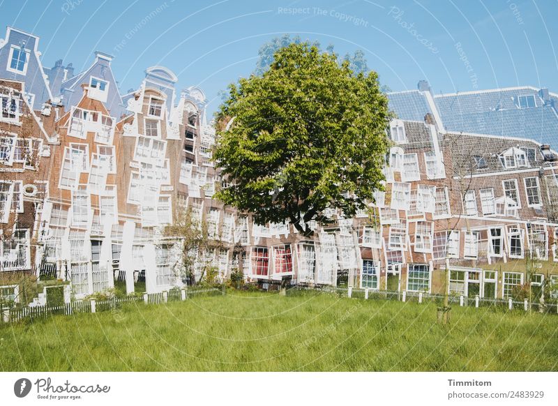 Facades (4) Beautiful weather Tree Meadow Netherlands Town House (Residential Structure) Blue Brown Green White Ease Double exposure Colour photo Exterior shot