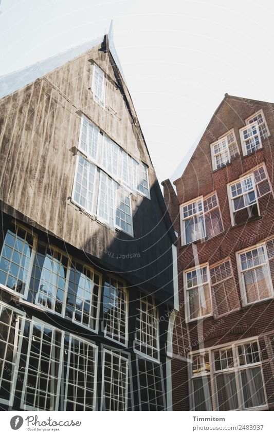 Facades (2) Netherlands Town House (Residential Structure) Wood Glass Blue Brown White Window Lattice window Double exposure Brick Colour photo Exterior shot