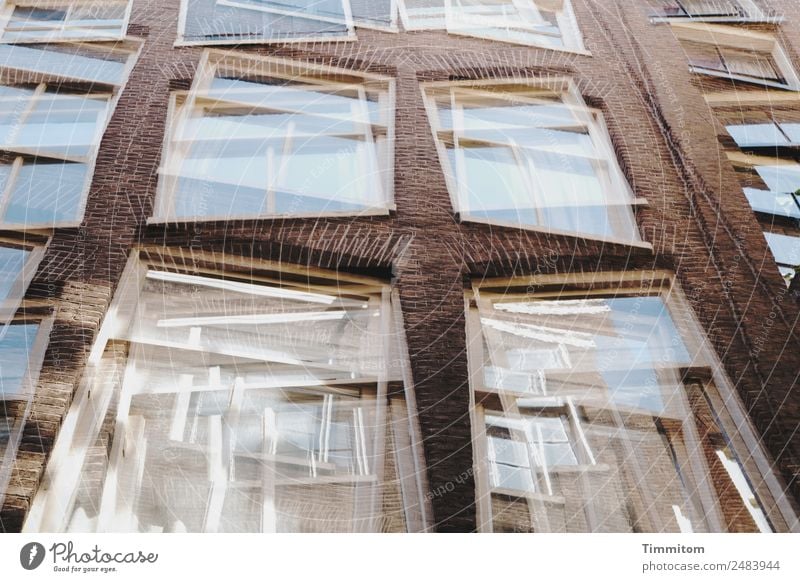 Facades (6) Netherlands Town House (Residential Structure) Wall (barrier) Wall (building) Window Stone Glass Esthetic Blue Brown White Double exposure