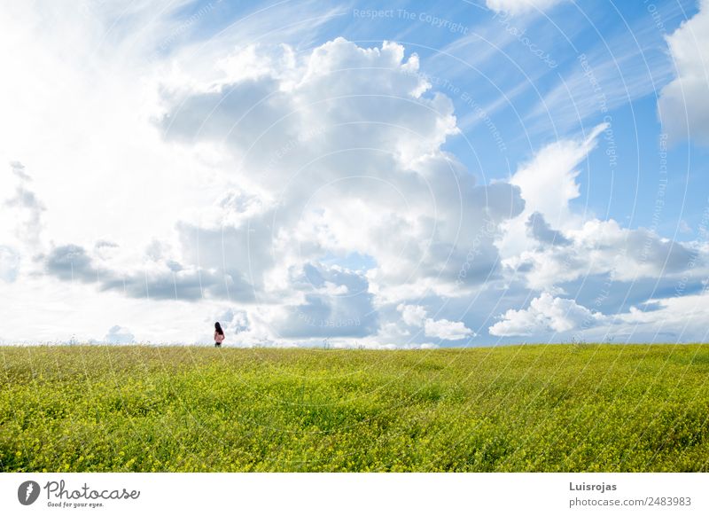 girl in a field with yellow flowers a day with clouds Human being Feminine Child Girl 1 3 - 8 years Infancy To enjoy Listening Vacation & Travel Playing Dream