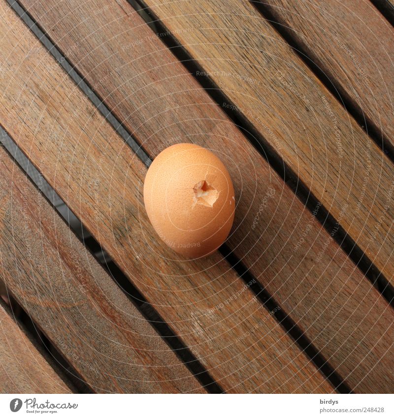 Remembered Egg Nutrition Wood Lie Authentic Broken Protection Symmetry Destruction Eggshell Hollow 1 Anonymous Wooden table Seam Parallel Oval corrupted