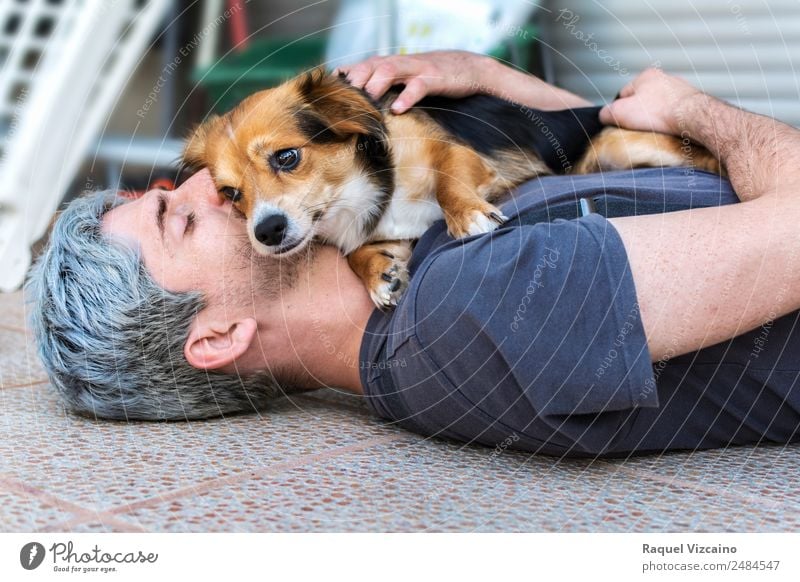 Beautiful hug of a man and his beloved dog. Lifestyle Man Adults Head Arm 1 Human being 30 - 45 years Gray-haired Pet Dog Animal Touch Lie Friendliness Brown