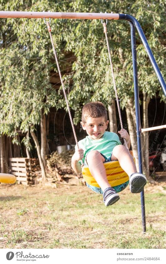 Cute little blond boy swinging on swings Lifestyle Joy Happy Face Leisure and hobbies Playing Freedom Summer Child Human being Toddler Boy (child) Man Adults