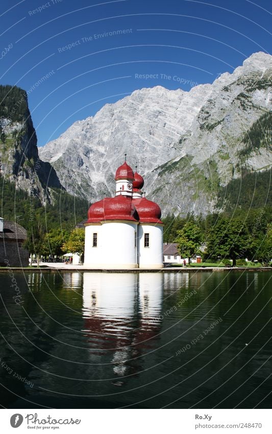 Boat trip to St. Bartholomä Nature Landscape Water Sky Cloudless sky Summer Tree Lake Swimming & Bathing Observe Driving Hiking Lake Königssee Navigation Church
