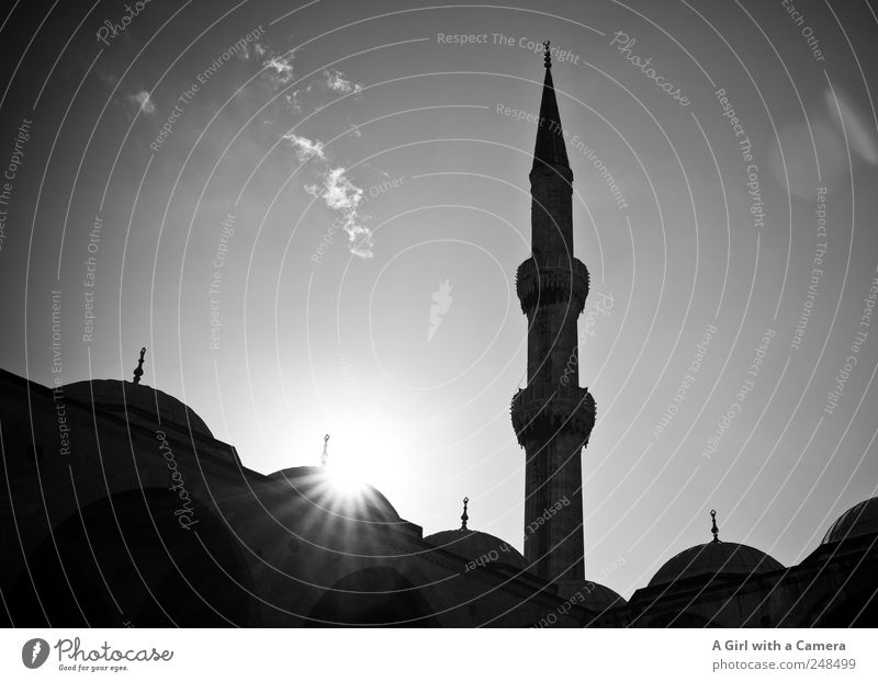 love Istanbul Sky Turkey Town Tower Manmade structures Building Architecture Mosque Roof Domed roof Tourist Attraction Blue Mosque Illuminate Old Authentic