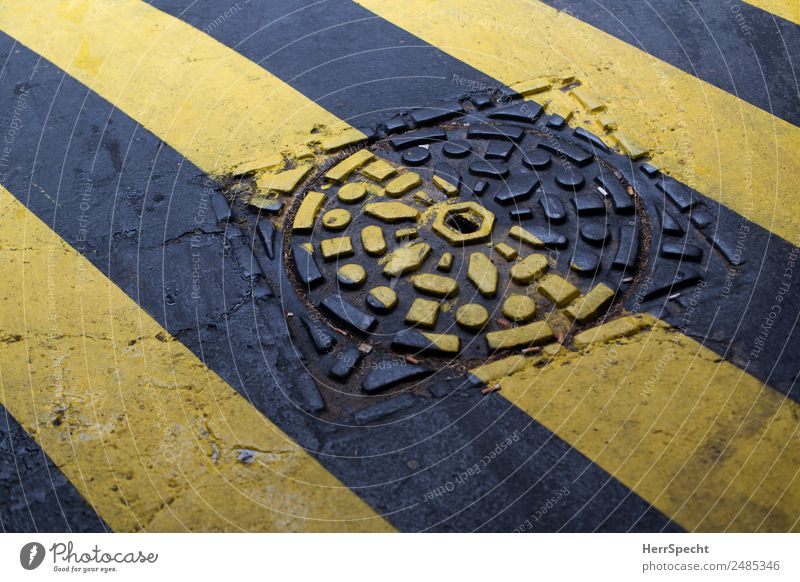painted Street Zebra crossing Marker line Yellow Gray Gully Structures and shapes Painted Line Colour photo Exterior shot Abstract Pattern Deserted