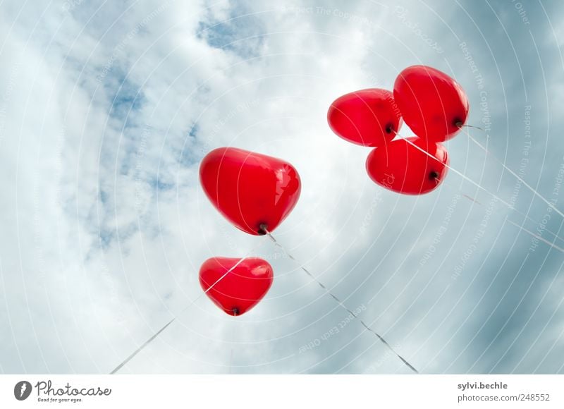 Love, Love, Love Feasts & Celebrations Valentine's Day Sky Clouds Storm clouds Weather Heart Red Spring fever Infatuation Romance Balloon Knot String 5 Upward