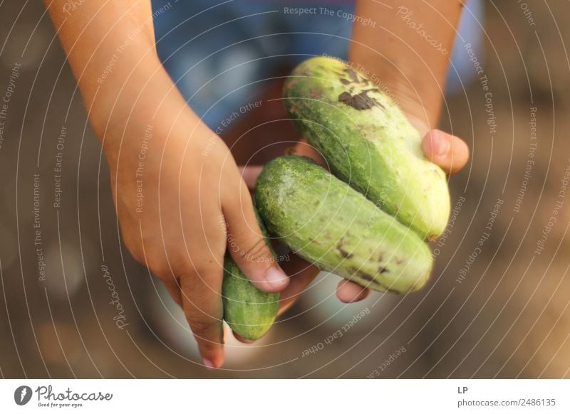 have some cucumbers Lifestyle Joy Overweight Leisure and hobbies Summer vacation Living or residing Parenting Education Emotions Shopping Religion and faith