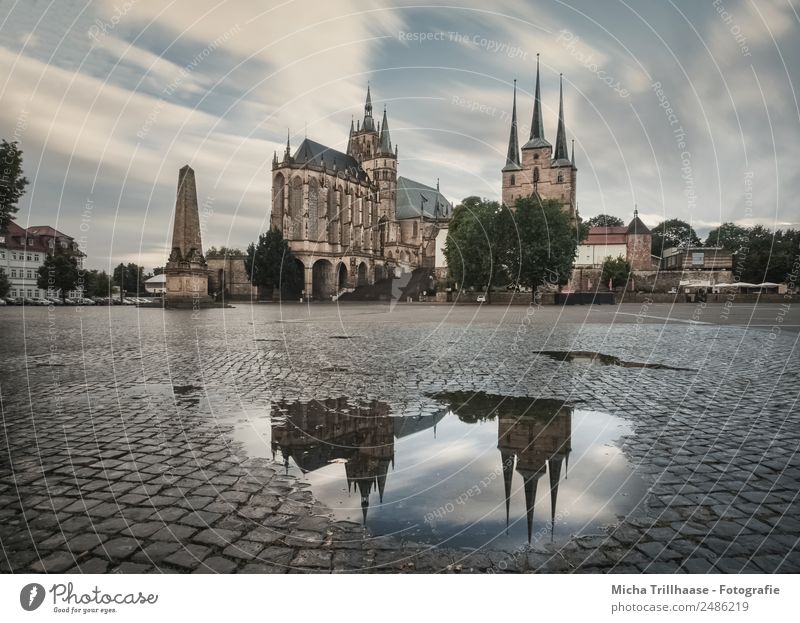 Erfurt Cathedral and Reflection Tourism Trip Sightseeing City trip Clouds Bad weather Rain Town Downtown Old town Deserted House (Residential Structure) Church