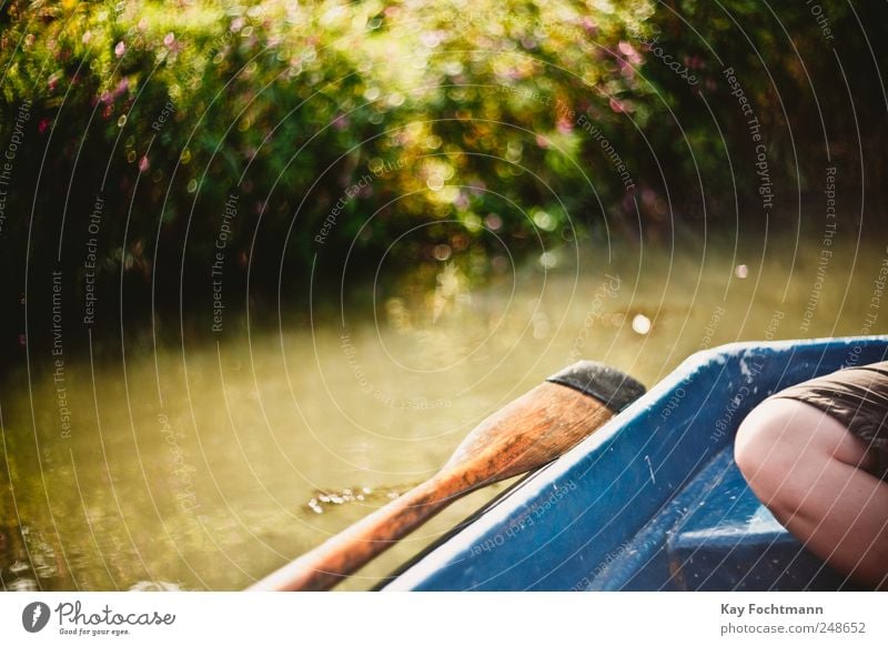 sommernsntagsbokeh Lifestyle Happy Leisure and hobbies Paddling Paddle Boating trip Vacation & Travel Trip Freedom Summer Summer vacation Legs 1 Human being