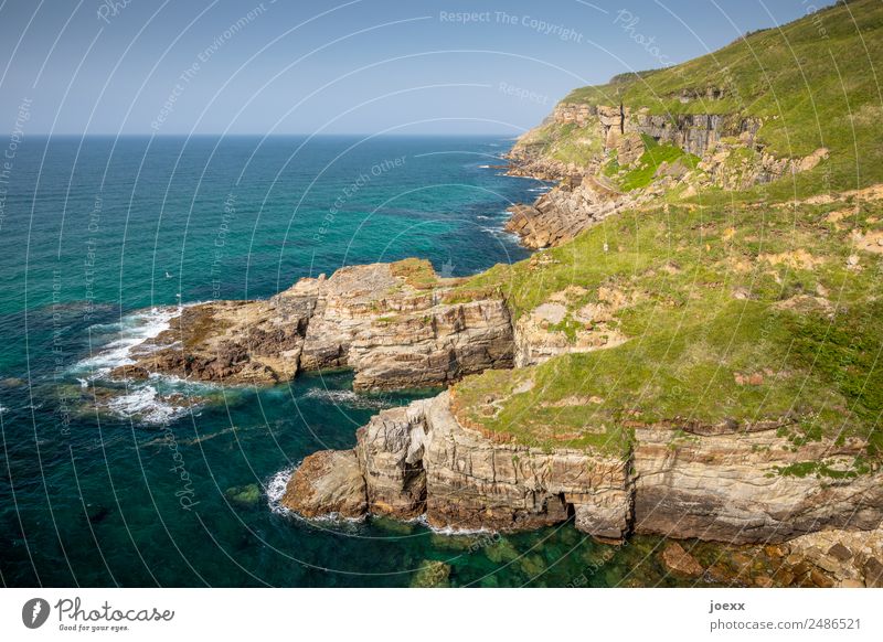 Green rocky coast at a calm sea in northern Spain Wild Nature Waves pile steep coast Tall White crest Surf Wall (barrier) Ocean Rock external name Landscape