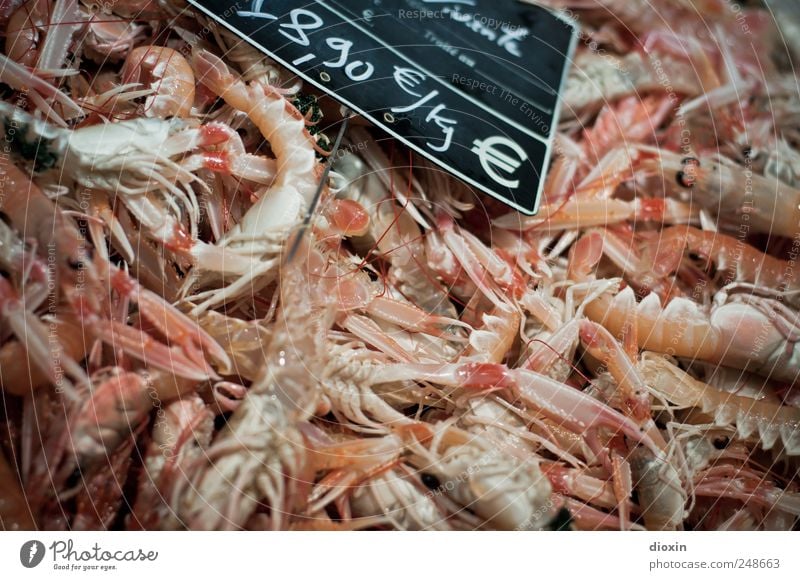 freshly caught Food Seafood Nutrition Crawfish Shrimps Crustacean Protein Delicacy Fish market Animal Dead animal Group of animals Flock Fresh Price tag