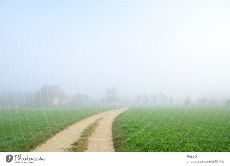 away into nowhere Calm Nature Landscape Clouds Fog Grass Meadow Field Bright Cold Shroud of fog Wall of fog Misty atmosphere Autumnal Lanes & trails Footpath