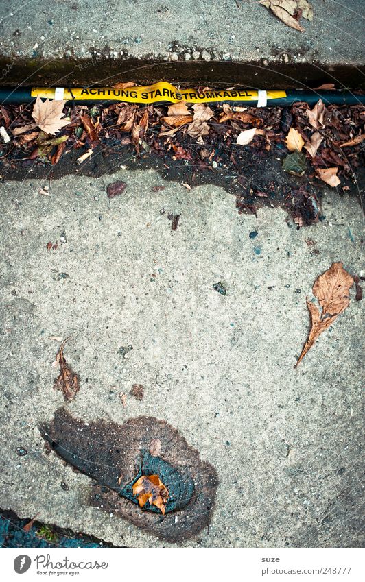 Always under power ... Cable Environment Concrete Footprint Authentic Dirty Electricity Footpath Imprint Tracks Autumn leaves Autumnal weather Ground