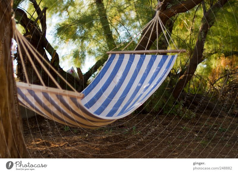 Relaxing location Line Relaxation Hammock Suspended Attach Break Rope Rag sag Tree Tree trunk Chained up Free unmanned Shadow Leisure and hobbies Resting point