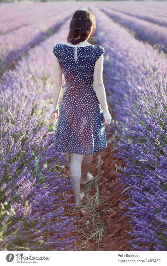 #A# Lavender walk Art Esthetic Uniqueness Elegant Relaxation Peace Serene Lavender field Lavande harvest Model Photo shoot Manikin Dress Spotted Violet Field
