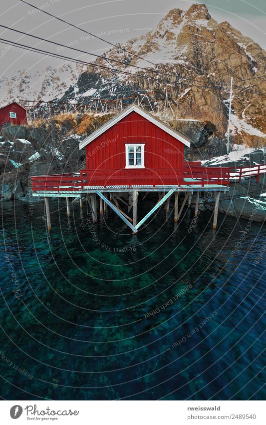 Red cottage-rorbu in A i Lofoten. Sorvagen-Nordland-Norway-0329 Fish Seafood Aquatics Winter sports Hiking Sailing Skiing Environment Nature Landscape Water Sky