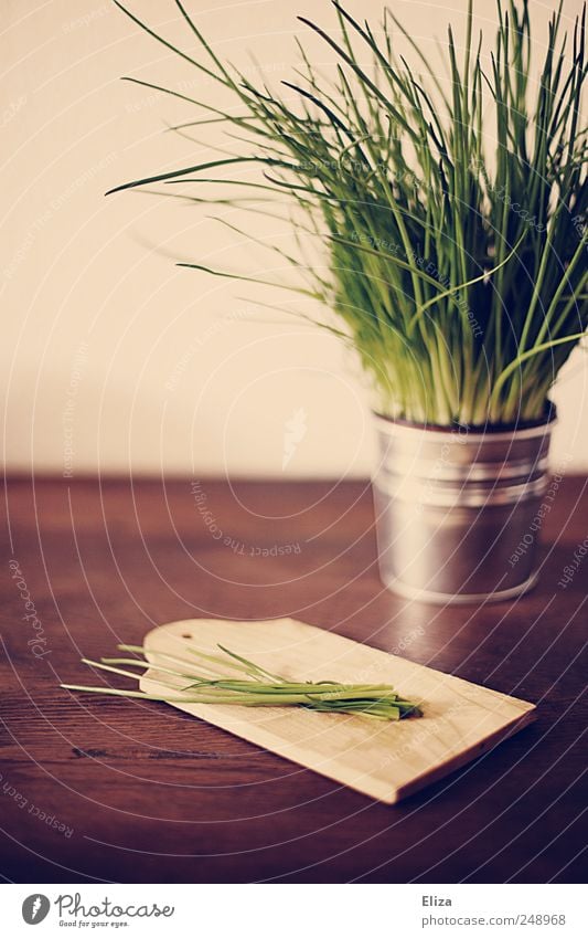 [300] - I have salmon, uh... leeks... Chives! Organic produce Vegetarian diet Fresh Healthy Herbs and spices Kitchen Wooden board Green Delicious Juicy Garden