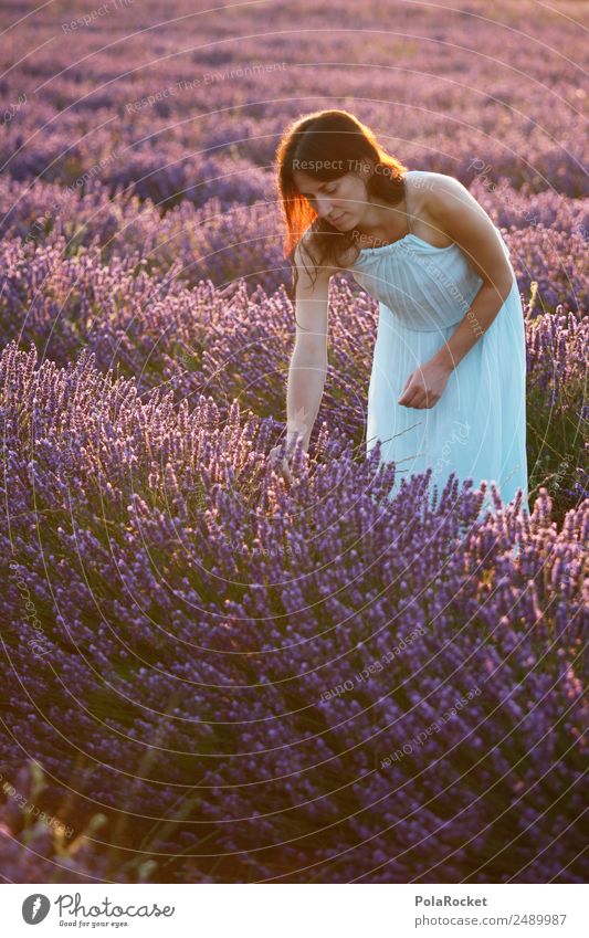 #A# Flower Girl Environment Nature Landscape Plant Esthetic Woman Violet Field Lavender Lavender field Lavande harvest Dress Provence France Blossoming