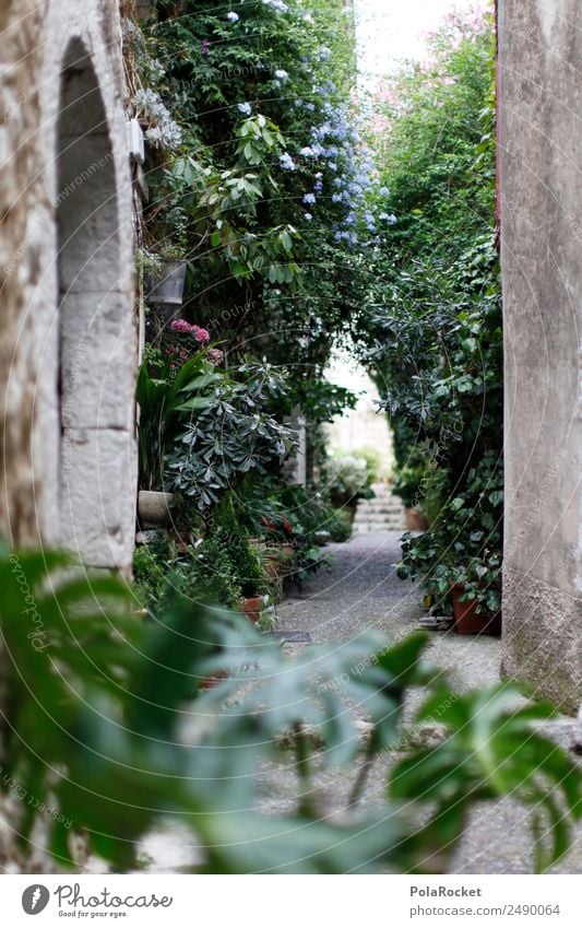 #A# GSSE Art Work of art Esthetic Alley Mediterranean Street Overgrown Backyard Idyll France Provence Small Town Romance Hide Old town Dreamily Shadow Garden