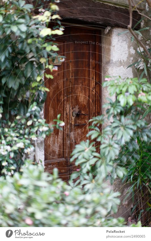#A# Door growth Art Contentment Front door Garden French Hide Treasure Mystic France Provence Wooden door Colour photo Multicoloured Exterior shot Detail