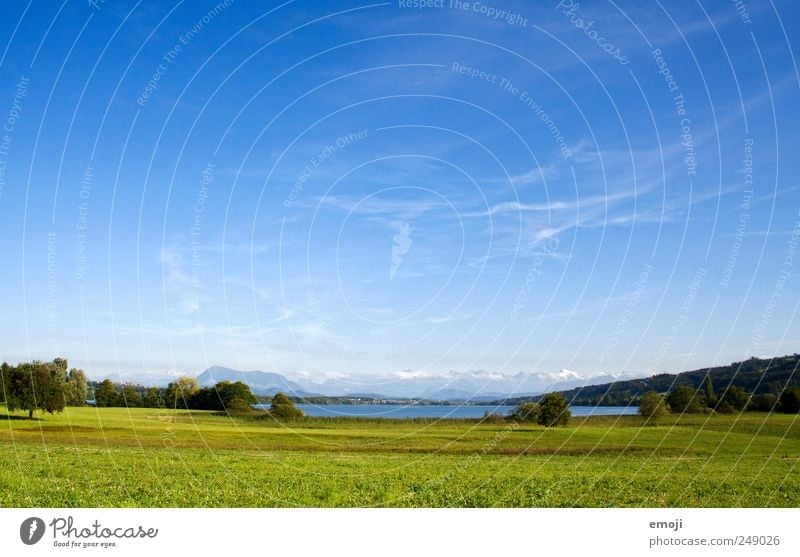 Field, Lake, Alps Nature Landscape Cloudless sky Summer Beautiful weather Meadow Lakeside Natural Blue Green Freedom Far-off places Switzerland Colour photo