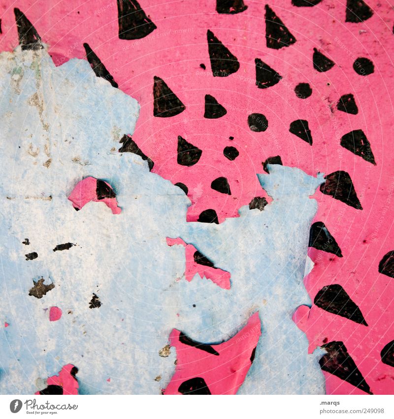 sting Wall (barrier) Wall (building) Graffiti Cool (slang) Hip & trendy Uniqueness Broken Pink Colour Whimsical Decoration Thorn Colour photo Close-up Abstract