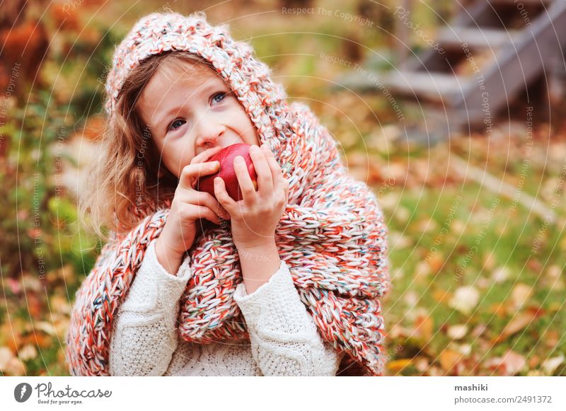 happy funny kid girl eating fresh apple in autumn Fruit Apple Lifestyle Joy Playing Garden Child Infancy Nature Autumn Warmth Leaf Forest Scarf Smiling
