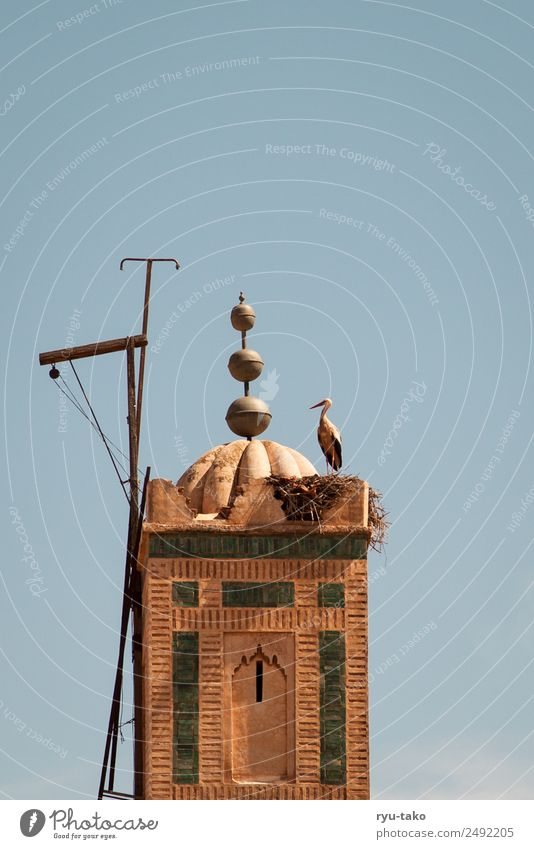 Stork on tower Town Tower Building Warmth Contentment Watchfulness Serene Patient Calm Antenna Morocco Point Moody Old town Sky Colour photo Multicoloured