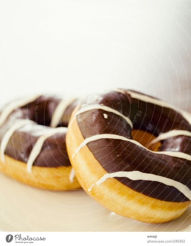 doughnuts Dessert Candy Chocolate Finger food Delicious Donut 2 Sweet Unhealthy Snack Colour photo Deserted Copy Space top Neutral Background