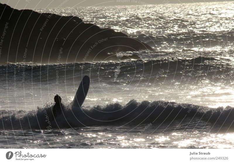 Appeared Surfboard Surfer Masculine Man Adults 1 Human being Water Sunlight Summer Beautiful weather Rock Ocean Atlantic Ocean Black Silver Life Loneliness