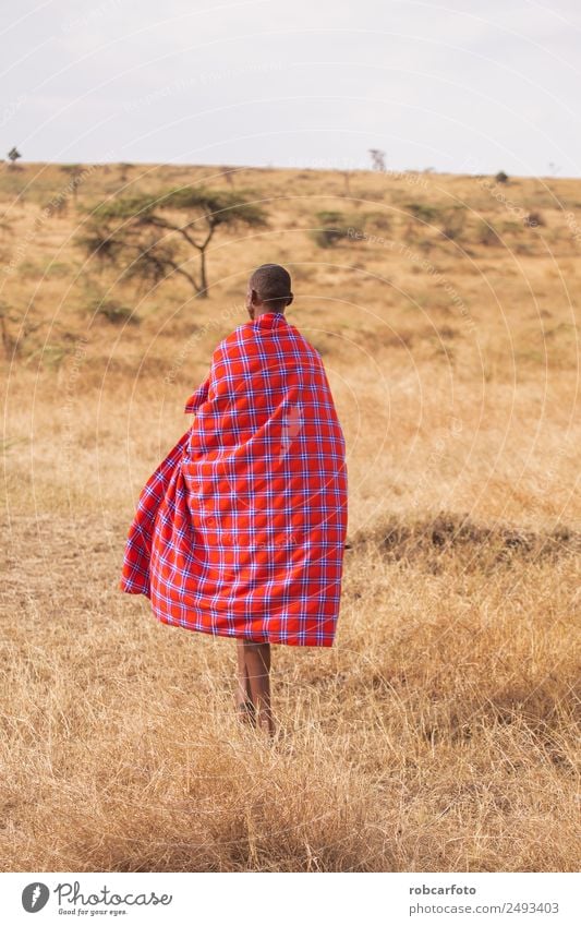 Maasai walking in the savannah at sunset Lifestyle Beautiful Vacation & Travel Summer Sun Human being Woman Adults Man Nature Landscape Tree Grass Village