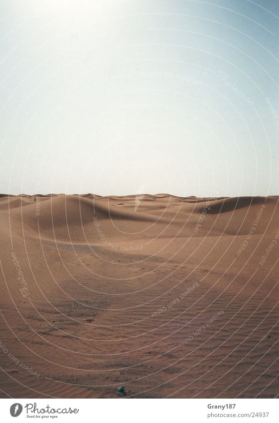 5,000 kilometers of sand. Grass Sheik Hot Physics Driving Green Badlands Advertising executive Poster Panorama (View) Vacation & Travel Desert arabhighway