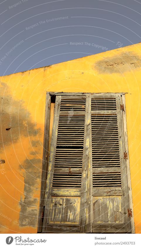 Yellow facade-Saint Louis du Senegal Shopping Handicraft House (Residential Structure) Child Boy (child) Man Adults Art Architecture Sand Tree Village Town