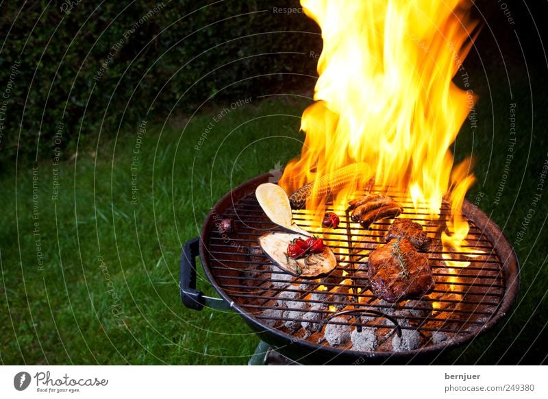 fire&flame Food Meat Vegetable To enjoy Hot Bright Yellow Barbecue (apparatus) Flame Fire Grill Steak Sausage Coal Tomato Zucchini Aubergine Rosemary