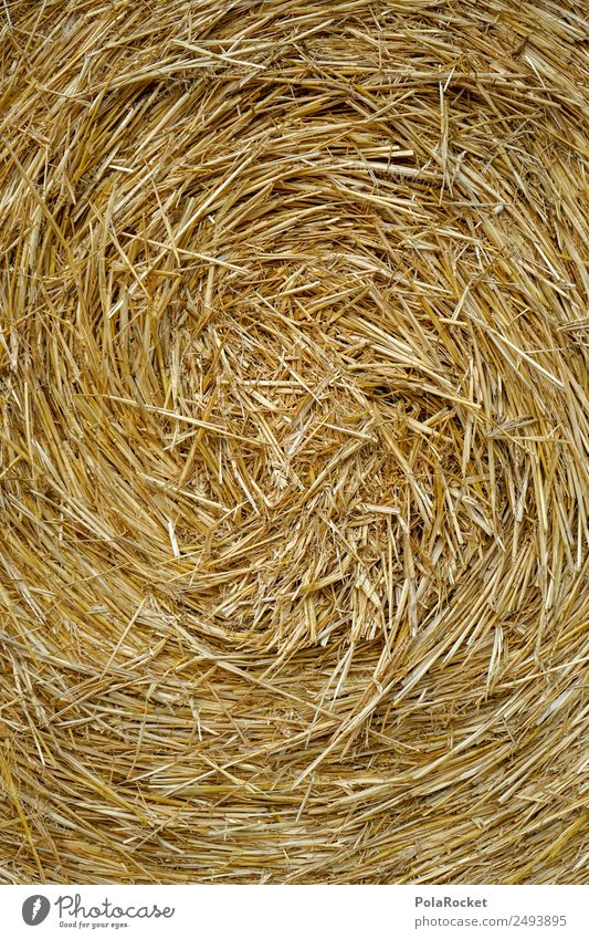#S# Straw spiral Nature Climate Blonde Agriculture Warmth Swirl Whirlpool Field Farmer Bale of straw Grain Creativity Yellow Gold Many Pattern Rotate Harvest