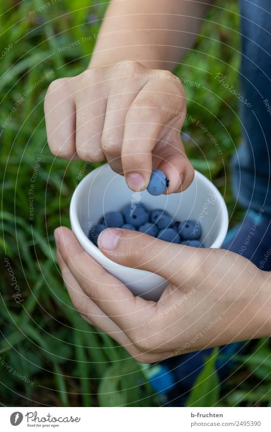 Child shows blueberry Food Fruit Organic produce Bowl Hand 8 - 13 years Infancy Summer Garden Meadow Select Eating To hold on To enjoy Stand Healthy Blueberry